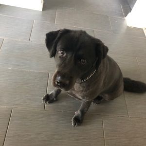 Meet your Posher, Sandra